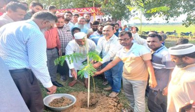 গোমস্তাপুরে বিএমডিএ’র ৫০০০ চারা রোপণ কর্মসূচির উদ্বোধন