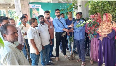 ঈশ্বরদীতে সাজেদা ফাউন্ডেশনে ৮ শতাধিক গাছের চারা বিতরণ