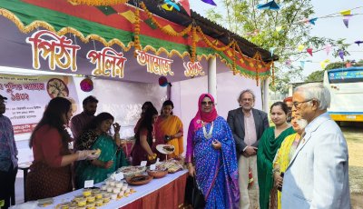 নর্থ বেঙ্গল ইন্টারন্যাশনাল ইউনিভার্সিটিতে পিঠা উৎসব