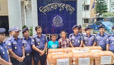 নিয়ামতপুরে ৯০ কেজি গাঁজাসহ দুই মাদক কারবারি গ্রেপ্তার