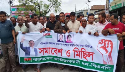 পরিকল্পিত সন্ত্রাসের প্রতিবাদে সাপাহারে বিএনপির সমাবেশ ও মিছিল