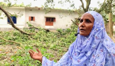 কাটা গাছের গোড়ায় দাঁড়িয়ে আছিয়ার প্রশ্ন, ‘গাছের সঙ্গে শত্রুতা কেন’