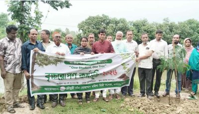 সাপাহারে বৃক্ষরোপণ