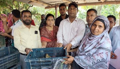 ব্র্যাকের উদ্যোগে হাঁসের বাচ্চা বিতরণ