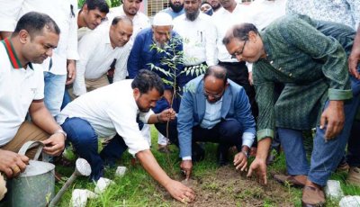 পবা উপজেলা পরিষদ চত্বরে নিম গাছের চারা রোপণ করলেন প্রতিমন্ত্রী