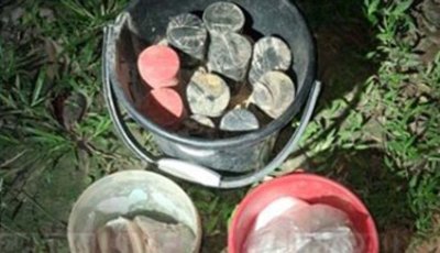 মহারাজপুরে আমবাগান থেকে ১০ ককটেল ও ৫ কেজি বিস্ফোরক সদৃশ বস্তু উদ্ধার