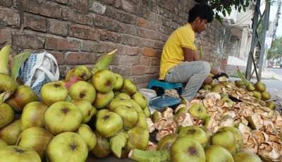 নগরীতে গরমে চাহিদা বাড়ছে তালশাঁসের