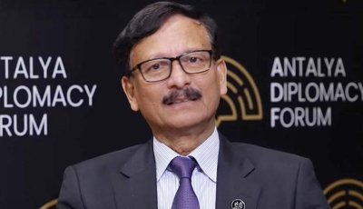 তিনবার পদত্যাগের সিদ্ধান্ত নিয়েছিলাম: তৌহিদ হোসেন