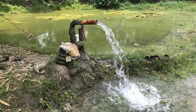 বাঘায় এক বিঘার পাট জাগ দিলে পুকুর মালিক পাচ্ছেন ২ হাজার