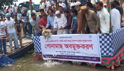 সাপাহার জবই বিলে মাছের পোনা অবমুক্ত