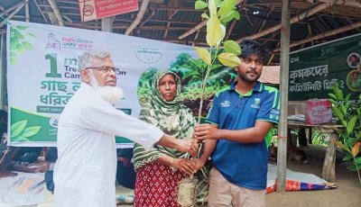 সিংড়ায় কৃষকদের মাঝে গাছের চারা বিতরণ