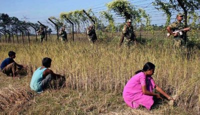 বাংলাদেশ সীমান্তে ‘স্মার্ট নিরাপত্তা গ্রিড’ চালু করবে ভারত, কাঁটাতারের বেড়া দেওয়া শুরু