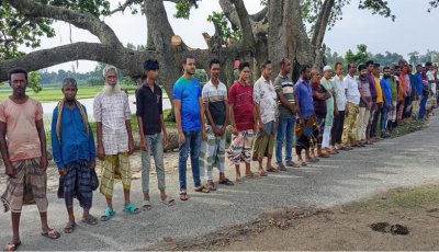 মান্দার ‘ভাইরাল বটগাছ’ নিয়ে অপপ্রচারের অভিযোগ