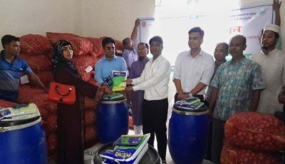 পবায় পেঁয়াজ বীজ উৎপাদন বাড়াতে বিনামূল্যে উপকরণ পেল ১২০ কৃষক