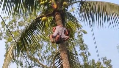 রায়গঞ্জে নারিকেল গাছ পরিষ্কার করতে গিয়ে বিদ্যুৎস্পৃষ্ট হয়ে যুবকের মৃত্যু