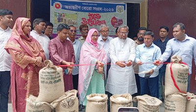 বড়াইগ্রামে বোরো সংগ্রহ কার্যক্রমের উদ্বোধন
