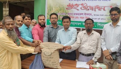 শিবগঞ্জে ৮ হাজার কৃষকের মাঝে বীজ ও সার বিতরণ