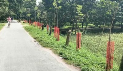 সমাজ উন্নয়নে সেবার আলো ছড়াচ্ছে ধরমপুর সমাজ কল্যাণ সংস্থা
