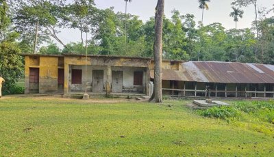 ১১ শিক্ষকের ১১ পরীক্ষার্থী, একমাত্র পাস করা শিক্ষার্থীর নাম জানেন না প্রধান শিক্ষক
