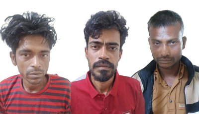 মাদকবিরোধী অভিযানে ট্যাপেন্টাডল ও ইয়াবা ট্যাবলেটসহ তিন মাদক ব্যবসায়ী গ্রেপ্তার