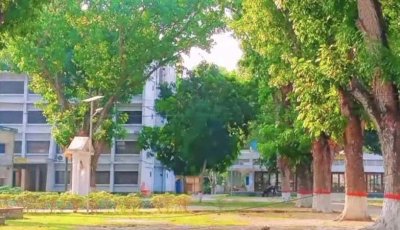 ব্যক্তি মালিকানার গাছ কাটতেও লাগবে অনুমোদন, অমান্য করলে মামলা