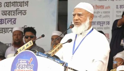 গণভোট ব্যর্থ হলে এই সরকারকেও ব্যর্থ করে দেওয়া হবে