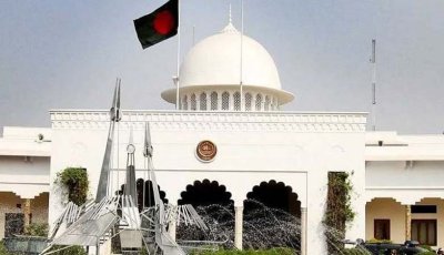 রাষ্ট্রপতি নির্বাচনের ভোটগ্রহণ যেভাবে