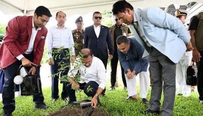 শিশুদের একটি করে গাছ লাগাতে বললেন প্রধানমন্ত্রী
