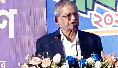 একটি মহল দেশ অস্থিতিশীল করার চেষ্টা করছে: ফখরুল