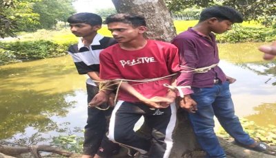 ঈশ্বরদীতে কলা চুরির অভিযোগে তিন শিক্ষার্থীকে গাছে বেঁধে নির্যাতন, উদ্ধার করলো পুলিশ
