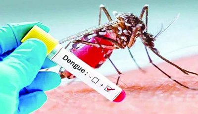 একদিনে ডেঙ্গুতে ১০ জনের মৃত্যু, হাসপাতালে ভর্তি ১৯৯৬