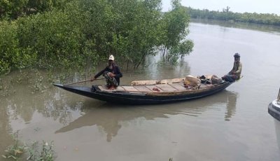 প্রাণ-প্রকৃতি রক্ষায় তিন মাসের জন্য বন্ধ হচ্ছে সুন্দরবনের দুয়ার