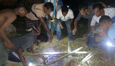 এবার অরক্ষিত কূপে পড়ে মারা গেল মহিষ