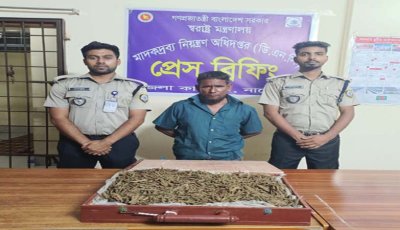 নাটোরে সাড়ে চার কেজি গাঁজাসহ দুই মাদক ব্যবসায়ী গ্রেপ্তার