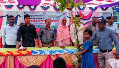 শিক্ষার্থীদের মাঝে শাপলার গাছ বিতরণ
