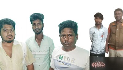 চার মাদক ব্যবসায়ী গ্রেপ্তার, দেশীয় চোলাইমদ ও ট্যাপেন্টাডল ট্যাবলেট উদ্ধার