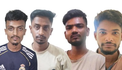 নগরীতে ৪ মাদক ব্যবসায়ী গ্রেপ্তার; ট্যাপেন্টাডল ও ইয়াবা ট্যাবলেট উদ্ধার