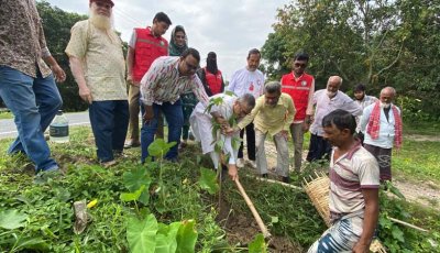 চাঁপাইনবাবগঞ্জ পৌরসভার নবনির্মিত সড়কে রেড ক্রিসেন্ট ইউনিটের বৃক্ষরোপণ