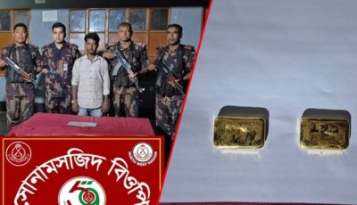 চাঁপাইনবাবগঞ্জে ভারতে পাচারের সময় প্রায় ৫৪লাখ টাকার সোনা উদ্ধার