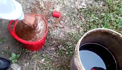 ককটেল বিস্ফোরণের পর মহারাজপুরে ১১ ককটেল উদ্ধার