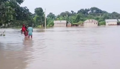 বাঘায় সাপের কামড়ে গৃহবধুর মৃত্যু, আতঙ্কে পদ্মার চরের মানুষ