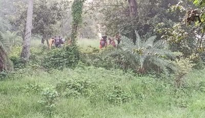 চাঁপাইনবাবগঞ্জ সীমান্তে ২৮ জনকে পুশ ইনের চেষ্টা, ফেরত পাঠাল বিজিবি