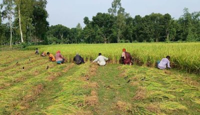 কৃষক কার্ডে আড়াই হাজার টাকার সার-বীজ পাবেন প্রান্তিক কৃষকরা