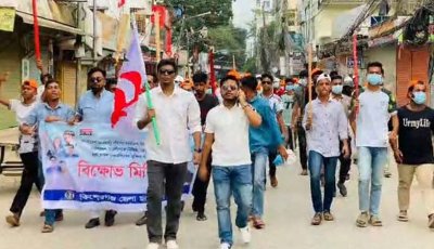 কিশোরগঞ্জে বৈঠা ও লাঠি হাতে কার্যক্রম নিষিদ্ধ ছাত্রলীগের মিছিল