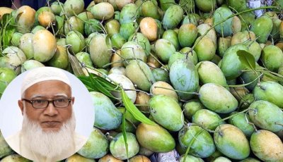 সংসদে সবাইকে আম উপহার দিলেন জামায়াত আমির