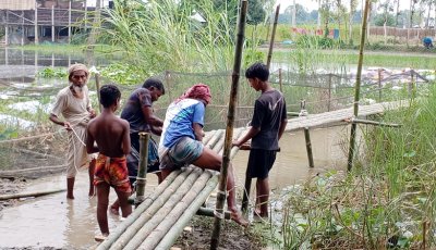 গ্রামবাসীর দুর্ভোগ লাঘবে সাঁকো নির্মাণ করলেন বিএনপি নেতা