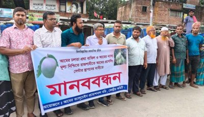 আমের ঢলন প্রথা বাতিল, প্রসেসিং সেন্টারের দাবিতে মানববন্ধন