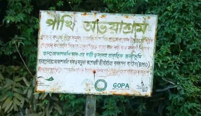 পাবনায় আকাশকলি দাসের পাখির অভয়াশ্রম সংরক্ষণের নির্দেশ হাইকোর্টের