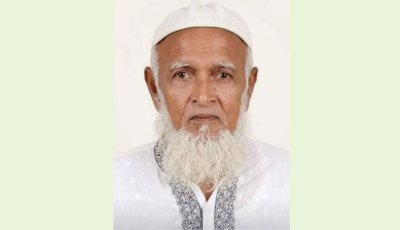 প্রবীণ শিক্ষক মহিউদ্দিন আহমেদ আর নেই