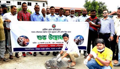 পাবনায় কুকুরকে অ্যান্টি-জলাতঙ্ক টিকা প্রদান কর্মসূচির উদ্বোধন